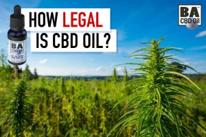 what states is cbd oil legal 2019